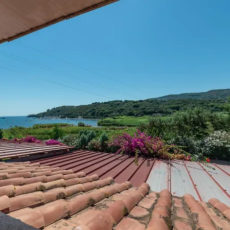 Apartment Il Portolano 15 - Goelba Porto Azzurro